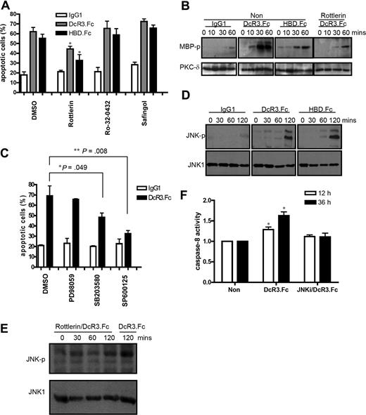 Figure 3. PKC and JNK are involved in DcR3.Fc-induced DC apoptosis. (A) CD14+ monocytes (5 × 105) were pretreated with PKC inhibitors for 1 hour before incubation with GM-CSF (200 ng/mL) and IL-4 (10 ng/mL) in the presence of 10 μg/mL Fc-fusion proteins or IgG1. Apoptotic cells were determined by annexin V–PE/7-AAD staining. *P < .05 compared with control group. PKC inhibitors were safingol (5 μM), rottlerin (5 μM), and Ro-32–0432 (50 nM). (B) In vitro kinase assay of PKC-δ activity in DcR3.Fc-treated DCs. Total cell lysates (300 μg) from different treatments were immunoprecipitated with an antibody against PKC-δ, and in vitro kinase assay was performed in the absence or presence of rottlerin using myelin basic protein (MBP) as substrate. Cell lysates were fractionated on SDS-PAGE, and the phosphorylated MBP was detected by autoradiography. (C) After pretreatment with kinase inhibitors PD98059 (50 μM), SB203580 (30 μM), and SP600125 (20 μM) for 1 hour, apoptotic cells were determined by annexin V–PE/7-AAD staining *P < .05; **P < .01 compared with DcR3.Fc without inhibitor treatment. (D,E) JNK phosphorylation in IgG1-, DcR3.Fc-, or HBD.Fc-treated DCs in the absence or presence of the PKC-δ inhibitor rottlerin. Cell lysates were fractionated on SDS-PAGE and blotted onto nitrocellulose paper before being probed with anti–phospho-JNK1 mAb. (F) The caspase-8 activity in cell lysates was determined using fluorescent caspase substrates. JNKi indicates JNK inhibitor SP600125 (20 μM). Error bars represent SD of the mean.