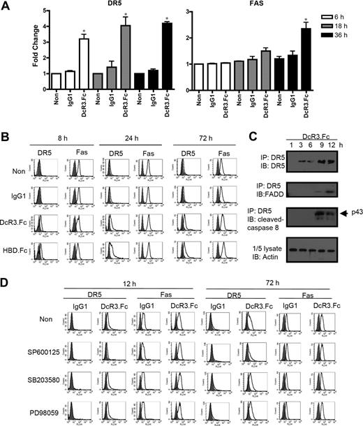 Figure 4. Expression of DR5 and Fas in DcR3.Fc-treated DCs. (A) Expression of DR5 and FAS in DCs was determined by quantitative RT-PCR. Levels of the housekeeping gene GAPDH mRNA were used as internal controls for normalization of RNA quantity and quality differences in all samples. *P < .05 compared with nontreated group. (B) Surface expression of DR5 and Fas by flow cytometry. Cells were incubated with PE-conjugated anti-DR5 or PE-conjugated anti-Fas mAb before FACScan analysis. Shaded histograms indicate isotype control Abs; open histograms, specific Abs. (C) Time course of the formation of DR5 DISC. Monocytes (3 × 107) were incubated with GM-CSF (200 ng/mL) and IL-4 (10 ng/mL) in the presence of 10 μg/mL Fc-fusion proteins or IgG1 for different time intervals. Cells were lysed, and the assembled DISCs were immunoprecipitated with Sepharose beads adsorbed with anti-DR5 antibody and analyzed by Western blotting using antibodies to FADD and caspase-8. (D) Effect of MAPK inhibitors on the expression of DR5 and Fas. Monocytes (5 × 105) were pretreated with kinase inhibitors for 1 hour before incubation with GM-CSF (200 ng/mL) and IL-4 (10 ng/mL) in the presence of 10 μg/mL Fc-fusion proteins or IgG1, for 12 hours and 72 hours. Shaded histograms indicates isotype control Abs; open histograms, specific Abs. Error bars represent SD of the mean.