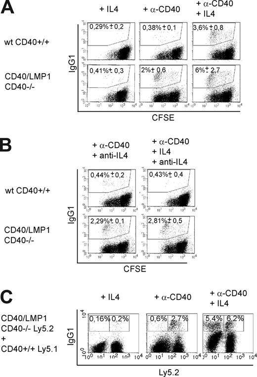 Figure 5. LMP1 signaling induces cytokine-independent class-switch recombination to IgG1. (A,B) CD43- and IgG1-depleted splenic B cells were labeled with CFSE and cultured in the presence of the indicated stimuli for 5 days. Cells are gated on living (PI−) cells. Numbers indicate means of percentages plus or minus SEM of IgG1+ cells of 4 independent experiments. (A) CD40/LMP1+//CD40−/− B cells showed CSR to IgG1 after stimulation with agonistic anti-CD40 antibody (α-CD40) only, whereas in wt CD40+/+ B cells CSR was dependent on IL4. (B) Anti-IL4 antibody (15 μg/mL) was added daily to the cultures. The percentages of IgG1-positive cells were not affected in anti-CD40–stimulated CD40/LMP1+//CD40−/− B cells, whereas CSR was inhibited by anti-IL4 antibody in wt CD40+/+ B cells stimulated with anti-CD40 and IL4. (C) Mixed B-cell cultures. IgG1-negative B cells of Ly5.1+ CD40+/+ and Ly5.2+ CD40/LMP1+//CD40−/− mice were isolated by depletion of CD43+ and IgG1+ cells and cocultured in a 1:1 ratio for 5 days with the indicated stimuli. Treatment with anti-CD40 antibody induced CSR in only Ly5.2+ CD40/LMP1+//CD40−/−, but not in Ly5.1+ CD40+/+, B cells. In contrast, stimulation with anti-CD40 and IL4 led to equal amounts of IgG1+ B cells in both cell types. This indicates that CSR of CD40/LMP1+//CD40−/− B cells reflects an intrinsic effect of the LMP1 signaling domain and not an increased release of cytokines. Numbers indicate means of percentages of IgG1+ cells of 3 independent experiments. Further evidence that LMP1 signaling induces cytokine-independent CSR to IgG1 is given in Figure S5.