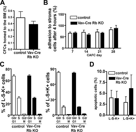 Figure 5. Homing, adhesion to stroma, cell-cycle status, and apoptosis in Vav-Cre Rb KO primitive hematopoietic cells do not correlate with reduced function. (A) CFCs were transplanted into lethally irradiated animals, and the percentage of CFCs homed to the BM was determined 18 hours after transplantation (n = 4 for both control and Vav-Cre Rb KO). (B) The ability of distinct CAFC populations to adhere to the FBMD-1 stroma cell line after 4 hours was determined using the CAFC adhesion assay as described in “Methods.” There is no difference in the ability to efficiently adhere to stroma cells between control and Vav-Cre Rb KO cells (n = 6 for both control and Vav-Cre Rb KO). (C) BM cells were pulse-labeled with BrdU in vivo, and the frequency of HPCs (L−S−K+ cells) and HSCs (L−S+K+) in the G0/G1, S, and G2/M phases of the cell division cycle were analyzed by flow cytometry (n = 5 for control and n = 7 for Vav-Cre Rb KO). (D) Frequency of HPCs (L−S−K+) and HSCs (L−S+K+) undergoing spontaneous apoptosis in control and Vav-Cre Rb KO animals, determined by staining for annexin V and 7AAD by flow cytometry (n = 3 for both control and Vav-Cre Rb KO). Shown are mean values plus or minus 1 SEM.
