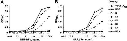 Figure 1. HGF and the HGF N-terminal domain, but not HGF kringles, bind to NRP1 and NRP2. ELISA analysis of (A) NRP1/Fc and (B) NRP2/Fc binding to immobilized ligands. Microtiter plates were coated with VEGF-A165, HGF, N, K1, K2, K3, K4, or BSA and incubated with various concentrations of recombinant NRP1/Fc or NRP2/Fc, followed by the peroxidase-conjugated anti-Fc antibodies. Values are means plus or minus SD of 3 independent experiments.