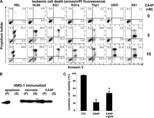Figure 2. Combretastatin A4 phosphate (CA4P) induces caspase-independent apoptosis in leukemic cells. (A) CA4P induces apoptosis of leukemic cells. Leukemic cells were treated with or without CA4P for 48 hours, and the percentage of apoptotic leukemic cells was determined by annexin-V and PI staining using flow cytometry. Results are representative of 3 independent experiments. Numbers in the quadrants are log fluorescent intensity. (B) CA4P induces cell death without evidence of necrosis. Western blot shows release of pelleted (“P”) nuclear HMG1 protein into the supernatant (“S”) in necrotic (freeze-thaw), but not apoptotic (staurosporine-treated) or CA4P-treated KG1a leukemic cells. Identical results were obtained in 3 independent experiments. (C) CA4P-mediated apoptosis of leukemic cells is partially reversed by the caspase inhibitor Q-VD. Leukemic cells were treated with or without CA4P for 48 hours in presence of caspase inhibitor Q-VD, and the percentage of apoptotic leukemic cells was determined by annexin-V and PI staining using flow cytometry. Percentage of live annexin-V−/PI− cells was plotted. Results are average of 3 independent experiments (*P = .008 as compared with CA4P-treated cells).