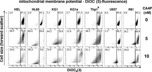 Figure 3. CA4P decreases mitochondrial transmembrane potential of leukemic cells. Leukemic cells were incubated with CA4P at different concentrations for 48 hours and mitochondrial membrane potential was determined by incorporation of the potential-sensitive fluorescent dye DiOC6(3) using flow cytometry. CA4P-untreated cells have a strong uptake of the dye, whereas CA4P decreases the amount of dye uptake. Results are representative of 3 independent experiments. Numbers in the quadrants are log fluorescent intensity.