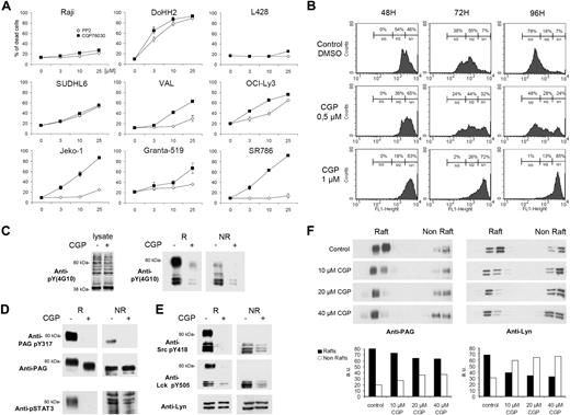 Figure 5. Exposure to CGP76030 triggers cell death of SUDHL6, Granta-519, DoHH2, VAL, Jeko-1, OCI-Ly3, and SR786 cell lines, blocks tyrosine phosphorylation of both PAG and Lyn in rafts, and dissociates Lyn from PAG and rafts. (A) Death of Raji, DoHH2, SUDHL6, Val, OCI-Ly3, Granta-519, Jeko-1, SR786, and L428 cells in presence of CGP76030 or PP2 at the indicated concentrations after 48 hours. These results are representative of 3 independent experiments. (B) Measurement of the proliferation rate of DoHH2 cells, loaded with CFSE, after CGP76030 exposure for 48, 72, and 96 hours. M1 corresponds to cells that have least proliferated, and M3 to cells with the highest proliferation rate. The results shown in panel B are representative of 3 independent experiments. (C-E) CGP76030 selectively dephosphorylates Lyn and PAG in rafts. (C) DoHH2 cells were cultured for 7 hours in the presence of 10 μM CGP76030, lysed in SDS sample buffer and WB with anti-P-Tyr antibody (lysate, left panel), or subjected to sucrose gradient fractionation in the presence of TX-100 as in Figure 1A. R and NR material containing equal amounts of Lyn was also probed with anti-P-Tyr antibody (right panel). (D) R and NR material (as in panel C) containing equal amounts of PAG were WB with anti-pY317 PAG, anti-PAG (MEM-255), and anti-pSTAT3 antibodies. (E) R and NR material (as in panel C) containing equal amounts of Lyn, was WB with anti-pY418 Src, anti-pY505 Lck, or anti-Lyn antibodies. Results in panels C through E are representative of 2 independent experiments. (F) CGP76030 redistributes Lyn of the raft fractions but minimally affects PAG localization. Equal volumes of sucrose gradient fractions of CGP76030-treated DoHH2 cells were WB with anti-PAG MEM-255 or anti-Lyn antibodies. Intensities were measured with ImageQuant and expressed as arbitrary units. Identical results were obtained in 2 independent experiments.