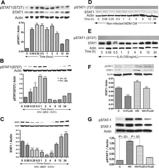 Figure 3. HIV-1 activates STAT1 at serine-727 in HBMECs, and FLUD inhibits HIV-induced STAT1 expression and activation. Coculture of HBMECs with HIV-1–infected MDMs (A), or direct exposure of HBMECs to infectious viral particles (B) activates STAT1 at S727. Long-term HIV exposure (12–24 hours) also increased total STAT1 levels in HBMECs (C). No activation of STAT1 at tyrosine residues was detected. No phosphorylation of STAT1 was observed in HBMECs exposed to conditioned media from noninfected MDMs, and there was no change in total STAT1 levels (D). Exposure of HBMECs to IL-6 did not phosphorylate STAT1 at serine or tyrosine residues; however, 12 to 24 hours of IL-6 exposure increased total STAT1 levels (E). The STAT1 inhibitor FLUD significantly diminished HIV-1–induced STAT1 activation and expression at 2 hours (F) and 30 minutes (G) of exposure. (*P < .05; **P < .01; ***P < .001.) CM indicates conditioned media; and C, control.