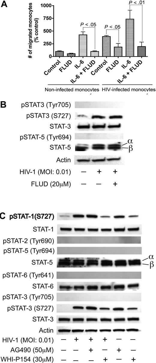 Figure 4. JAK/STAT pathway in HIV-1–induced endothelial dysfunction. (A) Effect of FLUD on monocyte migration across in vitro BBB models in response to HIV-1 and IL-6. HIV-1 infection and IL-6 increased monocyte migration across the BBB and the STAT1 inhibitor (FLUD) significantly diminished HIV-1- and IL-6-induced monocyte migration (*P < .05). NI represent migration of noninfected macrophages. (B,C) HIV-1 phosphorylates STAT1 and STAT3 at serine-727, and the JAK-3 inhibitor WHI-P154 diminished HIV-1–induced phosphorylation of STAT1 and STAT3. HIV-1 induced phosphorylation of STAT-3 at S-727 but did not phosphorylate STAT-5 or STAT-3 at tyrosine residues. FLUD had no effect on HIV-1–induced STAT-3 phosphorylation (panel B). The JAK-3 inhibitor (WHI-P154) significantly diminished HIV-induced serine phosphorylation of STAT1 and STAT3, while the JAK-2 inhibitor (AG490) had no effect (C). No activation of STAT3 at tyrosine residues was detected. HIV-1 did not activate STAT-2, STAT-5 or STAT-6.