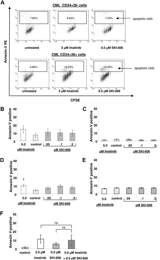 Figure 2. SKI-606 does not specifically induce apoptosis in CML primitive and committed progenitors. CML and normal CD34+CD38− primitive and CD34+CD38+ committed progenitors were exposed to SKI-606 or imatinib at indicated concentrations for 96 hours. Apoptosis was analyzed by FACS as the percentage of cells positively labeled by Annexin V-PE. (A) Representative data for apoptosis of CML CD34+CD38− primitive and CML CD34+CD38+ committed progenitors. (B,C) Compiled data (mean ± SEM) for apoptosis of CML (n = 4) and normal (n = 3) primitive progenitors, respectively. (D,E) Apoptosis of CML (n = 5) and normal (n = 3) committed progenitors, respectively. Significant increase in the percentage of apoptotic cells seen in CML committed progenitors in response to imatinib is indicated (†P < .05). (F) Apoptosis in CD34+CD38+ cells after exposure to SKI-606 (0.5 μM) and imatinib (5 μM) in combination. Results represent the mean plus or minus SEM of replicate experiments (n = 7); ns, not significant.