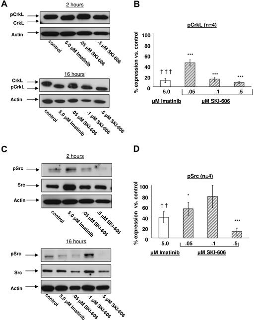 Figure 4. Effects of SKI-606 treatment on Bcr-Abl and Src kinase activity in CML CD34+cells. CML CD34+ cells were incubated with SKI-606 or imatinib for 2 hours and 16 hours in low GF containing medium as described in “Western blot analysis.” Protein extracts were prepared as described in “Western blot analysis.” (A) Representative results of Western blotting using anti-CrkL and antiactin antibodies. Densitometry analysis was performed and the phosphorylated CrkL/total CrkL ratio was calculated. (B) Results represent mean plus or minus SEM percentage of phosphorylated CrkL normalized to CrkL phosphorylation in the absence of inhibitors after a 16-hour incubation period based on replicate experiments (n = 4). (C) Representative results of Western blotting using anti-pSrc, anti-Src, and antiactin antibodies. The ratio of phosphorylated Src: total Src was calculated. (D) Results represent mean plus or minus SEM percentage of phosphorylated Src after a 16-hour incubation period normalized to Src phosphorylation in the absence of inhibitors based on replicate experiments (n = 4). (B,D) Significant differences for treated cells compared with untreated controls are indicated for imatinib (†††P < .001; ††P < .01) and SKI-606 (***P < .001; *P < .05). Error bars represent SEM.