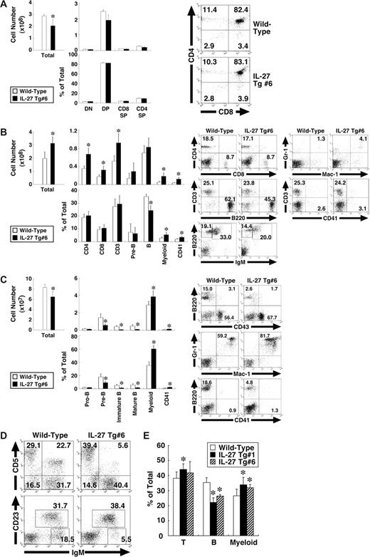 Figure 5. IL-27 Tg mice exhibit BM dysfunction with enhanced myelopoiesis and impaired development of B-cell lineages. Cells from thymus (A), spleen (B), BM (C), peritoneal cavity (D), and peripheral blood (E) of wild-type and IL-27 Tg no. 1 and/or no. 6 mice (n = 3 each) at 8 weeks of age were stained with various combinations of antibodies and analyzed by flow cytometry. Thymus: DN (CD4−CD8− T), DP (CD4+CD8+ T), CD4SP (CD4+CD8− T), and CD8SP (CD4−CD8+ T). Spleen: CD4+ T, CD8+ T, CD3+ T, pre-B (B220+CD43−IgM−), B (B220+IgM+), myeloid (Mac-1+Gr-1+), and CD41+. BM: pro-B (B220+CD43+), pre-B, immature B (B220lowIgM+), mature B (B220highIgM+), myeloid, and CD41+. Peritoneal cavity: B1a (IgM+CD5+), B1 (IgM+CD23−), and B2 (IgM+CD23+). Data are shown as the mean (± SD). * indicate P < .05, compared with wild-type mice. Numbers represent the percentage of cells in each box or area.
