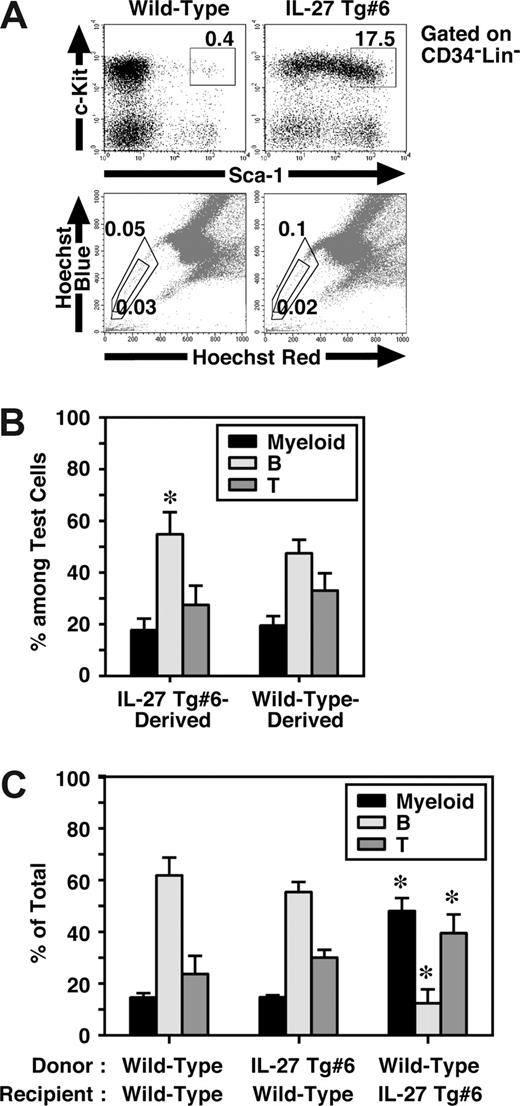Figure 6. IL-27 Tg mice have an increased number of CD34−KSL cells in BM, but they failed to show any HSC activity. (A) Cells from BM of wild-type and IL-27 Tg no. 1 and/or no. 6 mice (n = 3) at 8 weeks of age were stained with various combinations of antibodies or Hoechst 33342 and analyzed by flow cytometry. (B) HSC function in BM cells of IL-27 Tg mice were analyzed by transplantation assays. Chimerism of IL-27 Tg no. 6 mouse-derived WBCs in competitive repopulation assays at 4 months after transplantation (n = 10). Lineage distribution of IL-27 Tg no. 6 mouse- or wild-type mouse–derived cells was determined. * indicates P < .05, compared with wild-type mouse–derived cells. (C) Lineage distribution of IL-27 Tg no. 6 mouse- or wild-type mouse–derived cells in wild-type or Tg recipients at 3 months after transplantation without competitor cells. * indicates P < .05, compared with wild-type to wild-type transplantation. Data are shown as the mean (± SD).