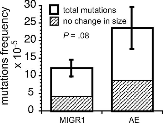 Figure 2. AE increases the mutation frequency in vivo. Mutation frequency of AE and control MIGR1 murine bone marrow cells after 3 months in vivo. Data represent averages of 8 mice (MIGR1) and 7 mice (AE) from 3 separate transductions. The hatched area represents mutations with no change in plasmid size (primarily point mutations); the remainder are translocations or deletions. Error bars represent SEM.