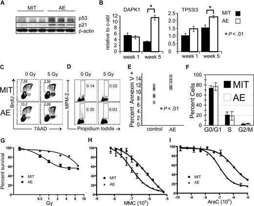Figure 3. AE cells have an activated p53 pathway, increased apoptosis, and increased sensitivity to DNA damage. (A) Western blot analysis showing higher levels of p53 and p21 proteins in 3 pairs of AE and MIT cultures at week 5 after transduction. (B) RQ-PCR analysis shows increased expression levels of p53 target genes DAPK1 and TP53I3. Three pairs of AE and MIT cultures were analyzed at weeks 1 and 5 after transduction. (C) BrdU staining of AE and MIT cultures shows a decreased percentage of cells in early S phase after irradiation, demonstrating a functional G1 checkpoint. (D) Staining of AE and MIT cells for an early mitotic antigen MPM-2 shows a decreased number of cells in M phase after irradiation, demonstrating a functional G2 checkpoint. Cultures used for experiments shown in panels C,D were 4 weeks old, and flow panels are representative of at least 3 separate stainings. (E) AnnexinV staining reveals increased levels of apoptosis in AE cultures compared with MIT cultures. Six AE and 5 MIT cultures were analyzed at week 5 after transduction. (F) AE and MIT cultures 5 weeks after transduction do not show differences in cell cycle. BrdU was incorporated and cells were stained with Anti-BrdU Ab and 7-AAD. An average and standard deviation from 3 separate experiments are shown. (G-I) AE cells show increased sensitivity to ionizing irradiation, mitomycin C (MMC), and AraC compared with MIT cells. Proliferation assays were performed on paired cultures at 5 weeks after transduction, 72 hours after irradiation, or after 72 hours of incubation with MMC or AraC.