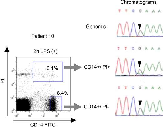 Figure 5. Enrichment of CIAS1-mutated monocytes from a CIAS1 mutation-negative patient. Flow cytometry analysis of PBMCs from patient 10 stimulated with cLPS for 2 hours (left panel), and chromatograms of the CIAS1 gene at position 1699 from each of the populations of cells (right panel). Numbers in each rectangle are the percentages of total cells.