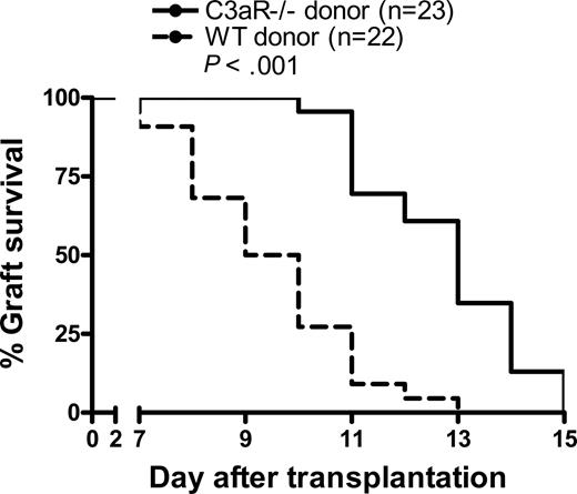 Figure 5. C3aR−/− skin grafts survive for longer than WT skin grafts. Skin tissues from C3aR−/− (n = 23) or WT control mice (n = 22; BALB/c) were transplanted into allogeneic recipient mice (C57BL/6). Data were analyzed by log rank test.