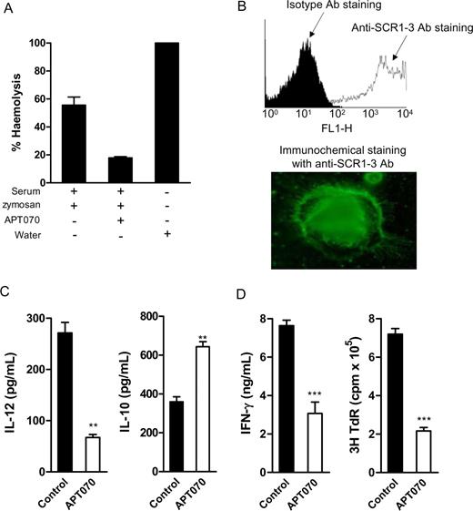 Figure 7. Modulation of DC function by C3 inhibitor (APT070). (A) Inhibition of mouse complement activity by APT070 (hemolytic assay). Values are means plus or minus SEM of triplicate determination for each condition. (B) APT070 bound to cultured BM DCs, which was detected by flow cytometry and immunochemical staining with antihuman CR1-3mAb. Slides were viewed with a Leitz DIAPLAN microscope using a PL Fluotar lens (Leitz, Wetzlar, Germany) with 100×/1.32 NA oil immersion and Permafluor mountant medium (Thermo Electron, Cheshire, United Kingdom). Images were acquired using a Nikon DXM1200 digital camera and processed with LUCIA imaging software version 4.71 (Jencons-PLS, Leighton Buzzard, United Kingdom) and Adobe Photoshop version 6.0 (Adobe Systems, San Jose, USA). (C) IL-12 and IL-10 production in response to LPS stimulation in APT070 or control molecule treated DCs (ELISA). Data are shown as means plus or minus SEM (n = 4). Data were analyzed by Student t test (**P < .005). A representative of 4 independent experiments is shown. (D) Allospecific T-cell responses to the stimulation of APT070 treated or control molecule treated DCs. Irradiated DCs (C57BL/6) and naive alloreactive CD4 T cells (BALB/c) were cocultured in T cell culture medium. Data are means plus or minus SEM (n = 4, for ELISA; or n = 6, for thymidine uptake). Data were analyzed by Student t test (***P < .001). A representative of 4 independent experiments is shown.