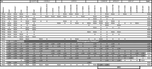 LOH analysis of 23 paired germline and leukemic human DNA samples