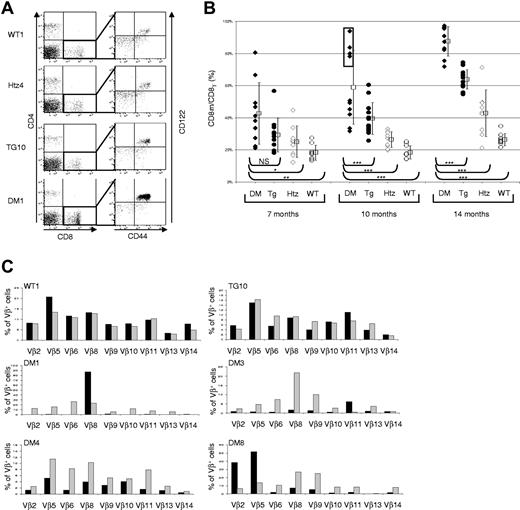 Figure 2. FACS analyses of blood samples during aging. (A) Memory CD8 T-cell accumulation in representative animals from the 4 genotypes at 10 months. DM indicates Cdkn1b+/−/MTCP1TG; Tg, MTCP1 transgenics; Htz, Cdkn1+/−; and WT, wild type. (Left) Dot plots of CD4-PE and CD8-APC gated on the lymphocyte population and (right) CD44-FITC and CD122-PE-Cy5 gated on the CD8+ cells. (B) Percentage of CD8m (CD8+CD44HICD122HI) among total CD8 (CD8T) cells at 7, 10, and 14 months in mice with the 4 different genotypes (DM represented by black diamond; Tg, black circle; Htz, empty diamond; and WT, empty circle). Means are indicated as empty squares; ± SDs are indicated as lines. Significance of between-group analyses (brackets) determined by Student t test is indicated as follows: NS, nonsignificant difference; *P < 5.10−2; **P < 5.10−3; and ***P < .001. At 10 months, a group of 4 DM mice with higher CD8m accumulation is identified by a rectangle. (C) Vβ repertoire in CD8+ cells in the different genotypes at 10 months. The distribution of 9 TCR Vβ in CD8m (CD8+CD44HI) is represented by black rectangle; and in CD8n (CD8+CD44LOW) by gray rectangle, in representative animals from 1 wild-type (WT1), 1 MTCP1 transgenic (TG10), and 4 DM mice.