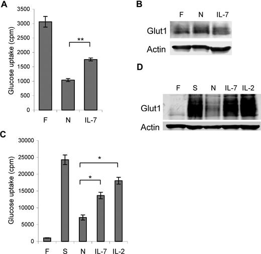 Figure 1. IL-7 regulates glucose uptake in naive and activated T cells. (A,B) T cells were analyzed immediately after purification (F) or after culture overnight without stimulation (N) or in IL-7 for (A) glucose uptake and (B) Glut1 protein levels. (C,D) T cells were analyzed freshly isolated (F) and after stimulation with anti-CD3 and anti-CD28 (S), then neglect (N), IL-7, or IL-2 for (C) glucose uptake and (D) Glut1 protein levels. Values represent means plus or minus the standard error of the mean (SEM) of triplicate samples. By Student t test, *P < .03, **P < .001.
