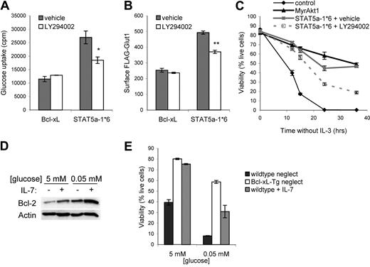 Figure 7. IL-7–mediated survival requires glucose and depends on STAT5 regulation of Akt. (A,B) Bcl-xL (control) and STAT5a-1*6 expression vectors were transfected into (A) FL5.12 cells and (B) FLAG-Glut1–expressing cells. One day after transfection, cells were washed and cultured in the absence of cytokine with DMSO (vehicle) or LY294002 for an additional 14 hours, and (A) glucose uptake and (B) surface FLAG-Glut1 were determined. (C) FL5.12 cells were transfected with control, MyrAkt1, or STAT5a-1*6 expression plasmids, withdrawn from IL-3 in the presence of absence of LY294002, and cell viability was observed over time. (D,E) Nontransgenic or Bcl-xL–transgenic T cells were purified and neglected or cultured in IL-7 in media with 5 mM or 0.05 mM glucose. (D) Bcl-2 protein levels in nontransgenic T cells and (E) cell viability in nontransgenic (wild type) and Bcl-xL–transgenic T cells were observed after one day. Values represent means plus or minus SEM of triplicate samples. By Student t test, *P < .02, **P < .005.