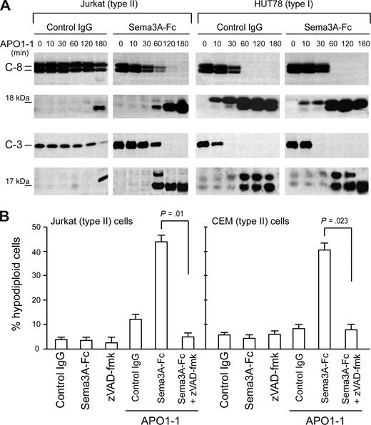 Figure 3. Sema3A cosignal differentially increases the Fas-mediated caspase activation in cell lines. (A) Jurkat (left) or HUT78 (right) cells were stimulated with 150 ng/mL APO1-1 in the presence of control IgG or Sema3A-Fc (150 ng/mL) for indicated times. Activation of caspase 8 and caspase 3 was analyzed by immunoblotting. The 18-kDa and 17-kDa bands correspond to active cleavage forms of caspase-8 and -3, respectively. The results shown are representative of 3 independent experiments. (B) Jurkat or CEM (type II) cells were incubated for 7 hours as described in panel A with or without zVAD-fmk (20 μM). Cell death was assessed by flow cytometry with propidium iodide.