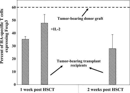 Figure 3. The frequency of antigen-specific Tregs in transplant recipients decreases immediately after HSCT. Donor mice (Thy1.2+/+) with a 10-day established tumor burden received 2.5 × 106 CD4+-enriched HA-specific T cells (Thy1.1+/1.2+). At 19 days after T-cell transfer, donor mice were killed, and their spleens and LNs were harvested and T-cell–enriched to be transferred into transplant recipients. Recipients (Thy1.1+/+) were challenged with 1 × 106 A20HA intravenously 10 days prior to HSCT and underwent transplantation as described in “Methods.” Half of the transplant recipients received daily injections of 10 μg/mouse IL-2 intraperitoneally. The frequency of HA-specific CD4+ T cells (Thy1.1+1.2+) expressing Foxp3 was determined by flow cytometry in the graft and in recipients killed 1 and 2 weeks after transplantation. Data represent means plus or minus SE.
