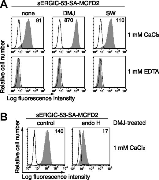 Figure 2. The binding of sERGIC-53-SA-MCFD2 to DMJ- or SW-treated HeLaS3 cells. (A) HeLaS3 cells were cultured in the presence of 1 mM DMJ or 10 μg/mL SW for 24 hours. The binding of 20 μg/mL sERGIC-53-SA-MCFD2 (filled histograms) or PE-SA (thin lines) to the cells was measured by flow cytometry. The numbers in each panel indicate the MFI. (B) HeLaS3 cells cultured in the presence of 1 mM DMJ were incubated with or without 104 U/mL of endo H at 37°C for 3 hours. The cells were then mixed with 20 μg/mL PE-labeled sERGIC-53-SA-MCFD2 (filled histograms) or PE-SA (thin lines). The data shown are representative of 3 independent experiments with similar results.