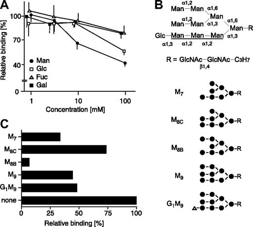 Figure 3. The binding of sERGIC-53-SA-MCFD2 to DMJ-treated cells is inhibited by mannose and high mannose-type glycans. (A) sERGIC-53-SA-MCFD2 (20 μg/mL) and the indicated concentrations of various monosaccharides were mixed with DMJ-treated HeLaS3 cells. The binding of sERGIC-53-SA in the presence of each monosaccharide is shown relative to the absence of monosaccharide, adjusted to 100%. The data shown are means of 3 independent experiments. Man indicates mannose; Glc, glucose; Fuc, fucose; Gal, galactose. The inhibition by N-acetylgalactosamine and N-acetylglucosamine is similar to the inhibition by galactose and glucose, respectively (data not shown). (B) Structures of high mannose-type glycans used in inhibition assay are shown. The A arm of the glycan is underlined. Man, mannose (●); Glc, glucose (▵); GlcNAc, N-acetylglucosamine. (C) sERGIC-53-SA-MCFD2 (10 μg/mL) and various high mannose-type glycans (15 mg/mL) were added to DMJ-treated HeLaS3 cells. The binding of sERGIC-53-SA-MCFD2 in the presence of each oligosaccharide is shown relative to that in the absence of oligosaccharide (none) adjusted to 100%.