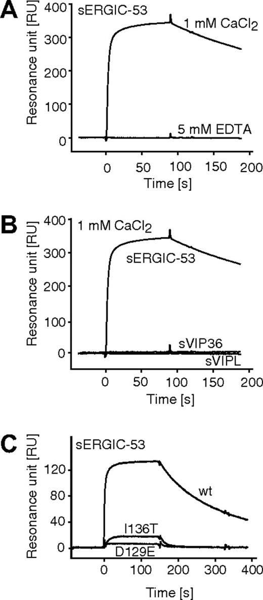 Figure 4. Surface plasmon resonance analysis of the interaction between sERGIC-53 and MCFD2. (A) sERGIC-53 (10 μg/mL) was injected (at t = 0) over the sensor chip on which MCFD2 was immobilized by amine coupling. The injection of sERGIC-53 was stopped at 90 seconds. (B) sERGIC-53, sVIP36, and sVIPL (all at a concentration of 10 μg/mL) were injected over the sensor chip on which MCFD2 was immobilized in the presence of 1 mM CaCl2. (C) In the presence of 1 mM CaCl2, sERGIC-53 (10 μg/mL) was injected over sensor chips on which MCFD2 or its mutants were immobilized.