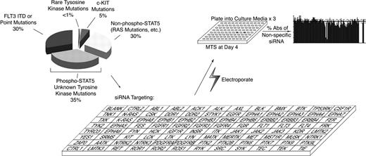 Figure 1. Scheme for RNAi functional profiling of AML cells. Thirty-five percent of AML cases exhibit phosphorylated STAT5 without knowledge of specific tyrosine kinases that are dysregulated. To better understand which tyrosine kinases contribute to this disease, we administered siRNA individually targeting each member of the tyrosine kinase family as well as N-RAS, K-RAS and 2 controls (CTRL) into AML cell lines. Cells were plated into culture media and subjected to an MTS assay at day 4 after electroporation for determination of cell viability and proliferation. All absorbance values were normalized to the absorbance values of 2 nonspecific control siRNA molecules.