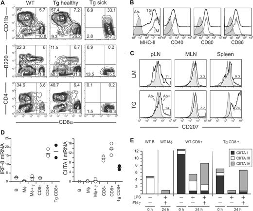 Figure 3. Pathologic cells are CD8α+ cDCs. (A) CD11c+ DCs were magnetically purified from spleen of WT, healthy (2 months old), and sick Mushi1 Tg mice and analyzed by FACS. The percentage of CD11c+ gated cells expressing the indicated DC subtype marker is shown. (B) The indicated activation markers were analyzed on CD11c+ purified cells from littermate (LM) or sick Mushi1 Tg (TG) mice. CD11c+ CD8α+ gated cells are shown with or without antibody for activation marker (Ab−). (C) Langerin was analyzed on skin-draining LN (pLN), MLN, and spleen cells from littermate (LM) or 3.5-month-old Mushi1 Tg mice with splenomegaly (TG). Fixed and permeabilized CD11c+ CD24+ gated cells are shown with (Ab+) or without (Ab−) Langerin antibody. The percentage of Langerin-positive cells is indicated. (D) The indicated mRNAs were quantified by real-time RT-PCR in magnetically purified B cells and macrophages (Mφ) from WT mice, and FACS-purified spleen CD8α− and CD8α+ DC subsets from Mushi1 sick Tg and non-Tg mice. (E) Levels of CIITA isoform mRNA before and after activation with interferon-γ (IFN-γ) and lipopolysaccharide (LPS) or LPS alone were quantified by real-time RT-PCR using an absolute quantification titration curve. The indicated cells were purified as in panel C.