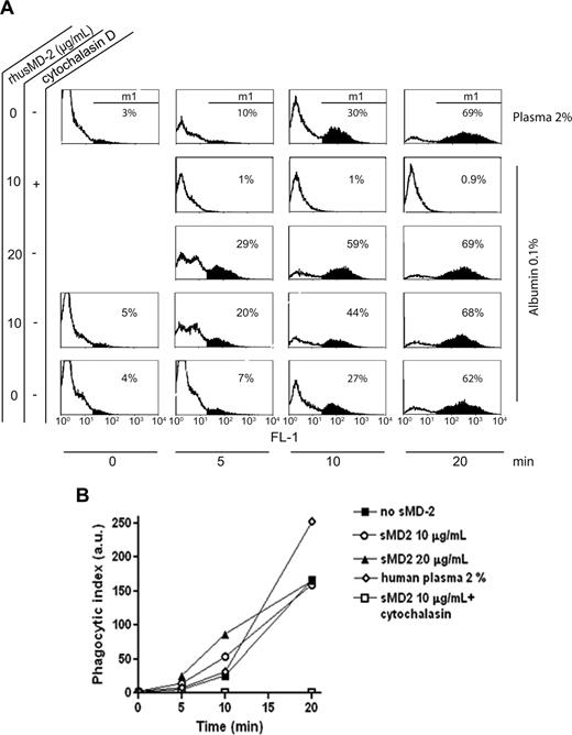 Figure 8. Soluble MD-2 enhances the phagocytosis of Gram-negative bacteria by polymorphonuclear neutrophils. Fluorescent E coli were incubated with freshly isolated human circulating leukocytes for 5, 10 and 20 minutes in 2% plasma or in the presence of absence of 10 or 20 μg/mL of recombinant human soluble MD-2 in albumin 0.1%. Polymorphonuclear neutrophils were gated by FACS according to their forward and side-scatter characteristics and CD14 expression. At the end of incubation times, extracellular fluorescence was quenched using Trypan blue. The percentage of cells becoming fluorescent (E coli internalization) was determined using another gate (M1). The geometric mean of cells becoming fluorescent was also measured. Cytochalasin D was used as an inhibitor of phagocytosis. Representative experiments of 4 similar experiments performed with 3 different blood donors. (A) Flow cytometric analysis of fluorescent E coli phagocytosis by human polymorphonuclear neutrophils. (B) Time course of phagocytosis of fluorescent E coli by polymorphonuclear neutrophils expressed as a phagocytic index (PI). The PI was defined as follows: (geometric mean of fluorescence of m1-gated cells x percent positive cells)/100. 0.1% human serum albumin (HSA) only (no sMD-2), ■; 10 μg/mL sMD-2 in 0.1% HSA, ○; 20 μg/mL in 0.1% HSA, ▴; 2% human plasma, ◇; 10 μg/mL sMD-2 in 0.1% HSA and cytochalasin D, □.