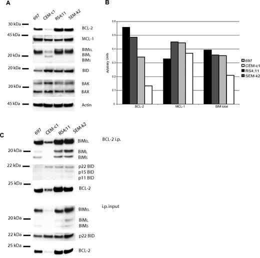 Figure 3. Protein analysis in ALL cell lines reveals BCL-2, BIM, and BID are complexed. CHAPS lysates of the 4 ALL cell lines were used for protein experiments. (A) Western blot analysis of lysate (20 μg) reveals different expression of BCL-2, MCL-1, BIM, and BID among the cell lines. (B) Quantification of proteins bands by densitometry verifies that BCL-2 and BIM protein expression levels follow the rank order of whole-cell ABT-737 sensitivity and BAD-induced cytochrome c release: RS4;11 > SEM-k2 > 697 > CEMc-1. (C) Anti–BCL-2 immunoprecipitation of ALL cells lines (50 μg). Immunoprecipitation pellet (i.p.) and 10% of total lysate used for immunoprecipitation (input) were loaded. BIM and BID are complexed to BCL-2 in amounts proportional to whole-cell amounts.