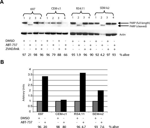 Figure 4. ABT-737 induces apoptosis through the mitochondrial pathway in ALL cells. Cells were treated for 24 hours with 100 nM ABT-737 or DMSO, or pretreated for 1 hour with 200 μM ZVAD.fmk prior to addition of ABT-737. (A) PARP cleavage correlates with cell death, as analyzed by annexin-V staining and reported as percent alive. (B) Caspase-9 activation was measurable by a fluorometric assay. The amount of annexin-V–negative cells was recorded just prior to harvesting cells (percent alive). Note that in both panels A and B the amount of ABT-737 used was not sufficient to cause significant apoptosis in CEM-c1 cells, which is consistent with the results reported in Figure 2.