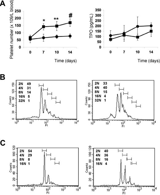 Figure 6. Effect of VPAC1 inhibition in mouse and human thrombocytopenia due to GATA1 defect. (A) Platelet count in blood following administration of 23A11 (■) on days 0, 3, and 7 or PBS (●) in ΔneoΔHS GATA1-deficient mice (left panel). Each point represents the mean platelet count from 4 (■) or 3 (●) mice plus or minus SD. **P < .01; #P < .001 by ANOVA. The plasma TPO levels from the same GATA1-deficient mice treated with 23A11 (■) or PBS (●) at the indicated days (right panel). Each point represents the mean TPO value from 4 (■) or 3 (●) mice plus or minus SD. (B) Histograms demonstrate the DNA ploidy distribution of CD41+ megakaryocytes in vitro–differentiated from Sca1+ cells isolated from bone marrow from ΔneoΔHS mice in the absence (left) or presence (right) of 23A11 on day 12. (C) Histograms demonstrate the DNA ploidy distribution of CD41+ megakaryocytes differentiated from CD34+ cells from bone marrow of the GATA1-D218Y patient in the absence (left) or presence of 23A11 (right) on day 12. FACS results are representative of 2 separate analyses.