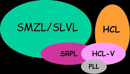 Figure 5. Schematic representation of relationship between SMZL, HCL, HCL-V, PLL, and cases from the present series (SRPL).