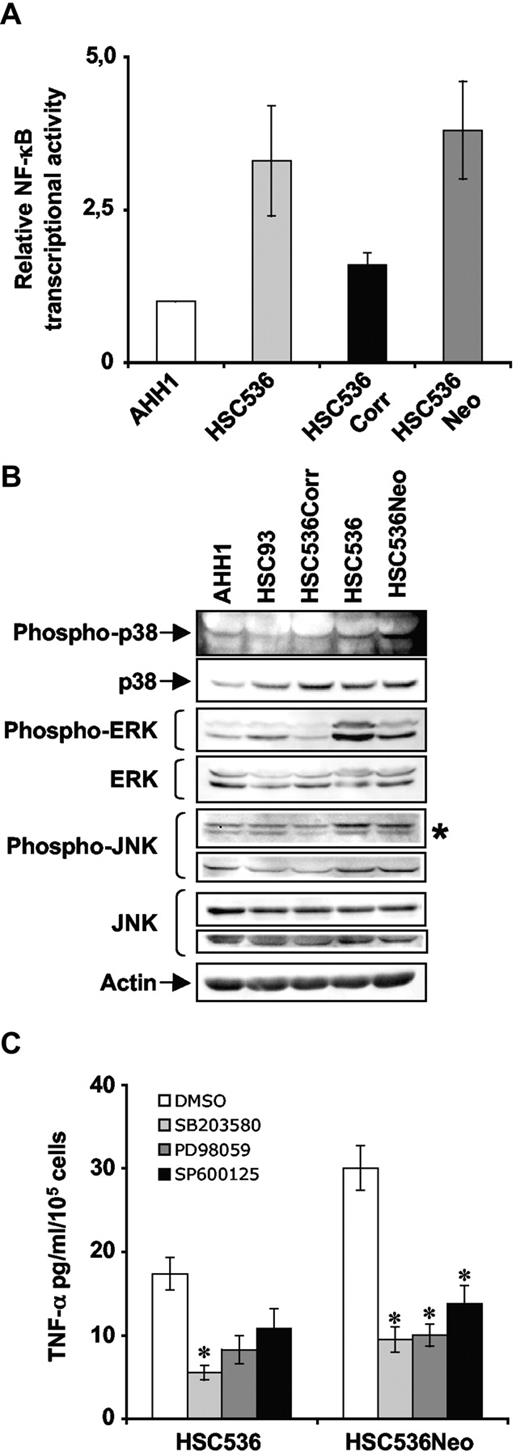 Figure 4. Aberrant activation of stress-response pathways in FA-C cells. (A) NF-κB transcriptional activity in lymphoblasts. NF-κB transcriptional activity was evaluated as increased luciferase activity in cell extracts isolated 48 hours after transfection with the reporter pNF-κB-Luc and phRL-TK. Luciferase activity in AHH1 cells was fixed to 1 in each experiment. Data presented are the mean (± SD) of at least 3 independent experiments done in triplicate. (B) Immunoblot showing the level of phosphorylation of key players of the MAPK pathways. Proteins were isolated from exponentially growing lymphoblasts. (C) TNF-α level in FA-C cells as function of MAPK activity. HSC536 and HSC536Neo cells were treated with SB203580 (p38 inhibitor, 10 μM), PD98059 (ERK inhibitor, 30 μM), and SP600125 (JNK inhibitor, 25 μM). Supernatants were collected 24 hours after subculturing and cytokine release was determined by ELISA. Data presented are the mean (± SD) of at least 3 independent experiments. *P < .01.