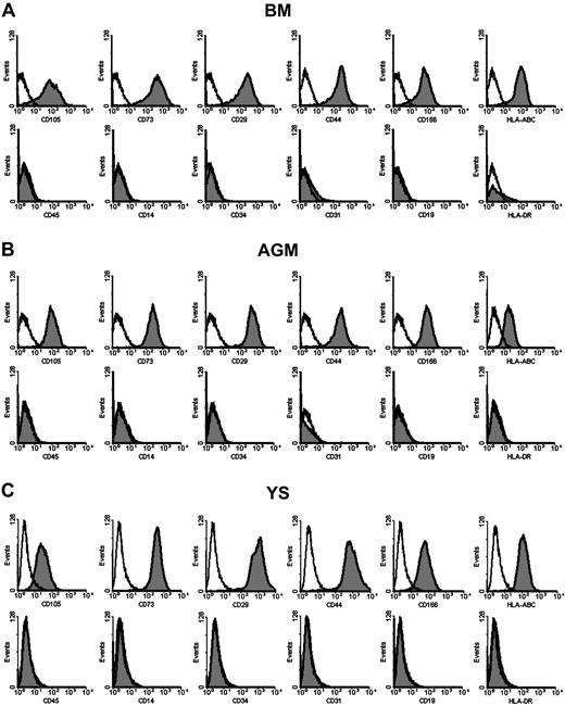 Figure 2. Surface markers of FACs from human AGM and YS. Flow cytometric analysis shows that the immunophenotypes of FACs from AGM (B) and YS (C) are uniform and identical to those of BM-derived MSCs (A). They are positive for CD105 (SH2), CD73 (SH3), CD29, CD44, CD166, and HLA-ABC, and negative for CD45, CD14, CD34, CD31, CD19, and HLA-DR.