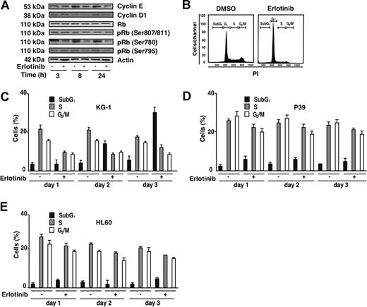 Figure 2. Cell-cycle effects of erlotinib on EGFR-negative myeloid cell lines. (A) Immunoblot detection of Rb phosphorylation and G1/S cyclins. KG-1 cells were treated for the indicated period with 10 μM erlotinib, followed by lysis, SDS-PAGE, and immunochemical detection of the indicated antigens. (B) Cell-cycle analysis of KG-1 cells, 24 hours after treatment with 10 μM erlotinib as compared with cells treated with DMSO (0.02%) only. (C-E) Quantitation of erlotinib-mediated cell-cycle effects on KG-1 (C), P39 (D), or HL60 (E) cells. Results are means plus or minus SD of triplicates of 1 experiment representative for 4.