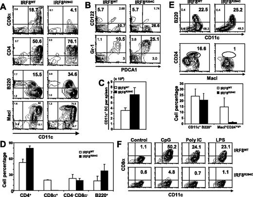 Figure 1. Analysis of DC subsets in IRF8R294C mice. (A) CD11c+ cells in spleen were analyzed for expression of the indicated DC subset markers by flow cytometry. (B) CD11c+ gated cells were tested for the pDC and IKDC markers, CD122 and PDCA1. (C) Total CD11c+ DCs per spleen. Values represent the average of 3 mice (± SD). (D) The percentages of 4 DC subsets in IRF8WT and IRF8R294C spleens. Values represent the average of 3 spleens (± SD). (E) BMDCs from IRF8WT and IRF8R294C mice grown in Flt3L were tested for B220 and CD24 as markers for pDCs and CD8α+ DCs, respectively. (F) BMDCs from IRF8WT and IRF8R294C mice were stimulated with CpG oligomer DNA D19 (1 μg/mL), LPS (100 ng/mL), or Poly IC (100 μg/mL) for 24 hours, and expression of CD8α was tested by flow cytometry. Numbers on plots are percentages of total cells.