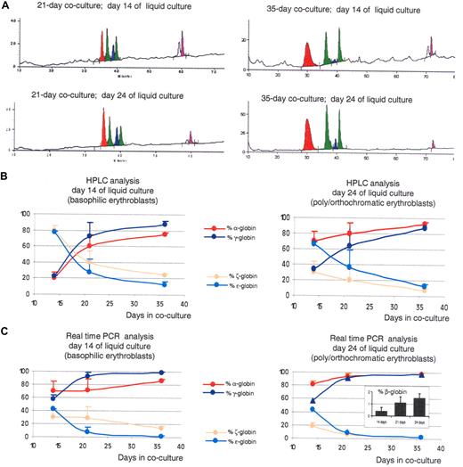 Figure 4. Increasing the time of coculture leads to the production of RBCs with a more mature globin expression program. (A) HPLC chromatograms illustrating globin expression in erythroblasts obtained after 14 days (top panels) or 24 days (bottom panels) of liquid culture of CD34+ cells that had been obtained after coculture of hESCs with FH-B-hTERT for 21 (left panels) and 35 days (right panels). Cells in the top panels, which were mostly pro- and basophilic erythroblasts, expressed predominantly α- and γ-globin. Cells in the left panel, which were mostly poly- and orthochromatic erythroblasts, expressed even more α-globin because of the maturation switch. The levels of α- and γ-globins are higher in the 35-day cocultures than in the 21-day cocultures. (B) X-Y plots summarizing the quantification of the HPLC results described in Figure 2 and 4. (C) X-Y plots summarizing the results of a real-time RT PCR analysis on the cells described in Figures 2 and 4. Inset: RT-PCR determination of β-globin expression in 35-day CD34+ cells after 14, 21, or 24 days in liquid culture (% β-globin indicates β/β+γ+ϵ). Results show that increasing the length of coculture of hESCs with FH-B-hTERT cells lead to a dramatic switch in the globin produced. Percent α-globin was calculated as 100 × α-globin/(α-globin + ζ-globin). Percent γ-globin was calculated as 100 × γ-globin/(γ-globin + ϵ-globin). Percent ζ-globin was calculated as 100 × ζ-globin/(α-globin + ζ-globin). Percent ϵ-globin was calculated as 100 × ϵ-globin/(γ-globin + ϵ-globin). Error bars represent SD.
