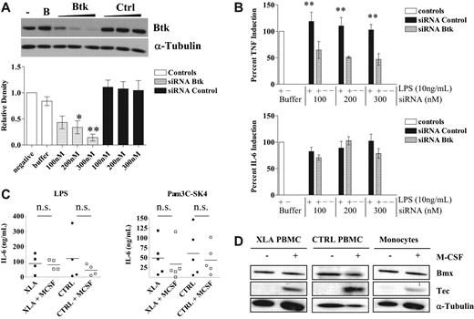 Figure 1. Targeted RNAi knockdown of Btk protein results in decreased TNF, not IL-6, production in human macrophages after LPS stimulation. Peripheral blood monocytes were transfected with increasing doses of targeting and control siRNA oligonucleotides and differentiated in the presence of 100 ng/mL of M-CSF in culture for 4 days. (A) The expression of Btk was assessed by Western blotting. Densitometry units (mean ± SEM) for 4 separate donors are shown normalized to untreated controls. (B) For analysis of cytokine expression, siRNA-transfected M-CSF macrophages were treated with LPS (10 ng/mL) for 18 hours and supernatants assessed for TNF and IL-6 levels by ELISA. Values are shown as mean plus or minus SEM for 4 separate donors normalized to LPS only controls (**P< .01). (C) PBMCs were prepared from XLA and normal male donors (age range, 17–46 years) as described in “Isolation and culture of PBMCs from XLA patients and control donors.” Cells were left undifferentiated (XLA ■, normal ●) or cultured in the presence of M-CSF (100 ng/mL) for 4 days (XLA □, normal ○) and then stimulated with LPS (10 ng/mL) or Pam3C-SK4 (100 ng/mL). Cytokine production was assessed by ELISA 18 hours after stimulation. Each data point shown represents a single donor (n.s., not significant). (D) Bmx and Tec protein expression in matched undifferentiated and M-CSF-treated XLA PBMCs, normal PBMCs, and blood monocytes was assessed by Western blotting. Blots are representative of 4 separate donors for each matched cell population. Statistical significance was assessed using one-way ANOVA and Bonferroni multiple comparison test.
