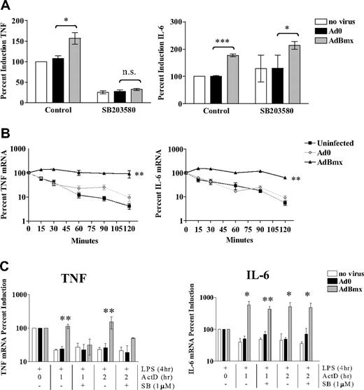 Figure 5. Bmx increases TNF and IL-6 mRNA stabilization via 2 distinct downstream pathways. (A) Macrophages were left uninfected or infected with Ad0 and AdBmx as before and left untreated or preincubated with SB203580 (1 μM). TNF and IL-6 production was assessed by ELISA. Values (mean ± SEM) are presented as percent compared with LPS-treated uninfected controls (100%). Statistical significance was assessed using Student ttest. n.s., not significant (*P< .05; ***P< .001). (B) Macrophages were left uninfected or infected with Ad0 and AdBmx as before. Cells were stimulated with LPS (10 ng/mL) for 4 hours before addition of actinomycin D (2 μg/mL). TNF and IL-6 mRNA levels at 0, 15, 30, 60, 90, and 120 minutes after addition of actinomycin D were assessed by real-time PCR. Values (mean ± SEM) for 4 separate donors are shown normalized to time 0 of actinomycin D addition (100%) (**P< .01). (C) Macrophages were left uninfected or infected with Ad0 and AdBmx as before and left untreated or preincubated with SB203580 (1 μM). TNF and IL-6 mRNA levels at 1 and 2 hours after addition of actinomycin D in the presence or absence of SB203580 (1 μM) were assessed by real-time PCR. Values (mean ± SEM) for 4 separate donors are shown normalized to time 0 of actinomycin D addition (100%). Statistical significance was assessed by one-way ANOVA and Bonferroni multiple comparison test (*P< .05; **P< .01).