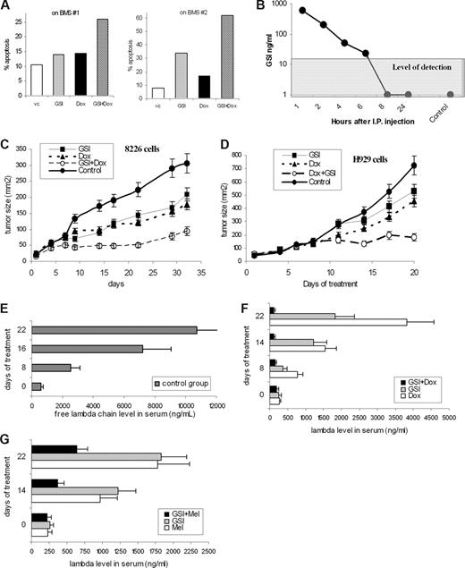 Figure 3. Combined effect of GSI and chemotherapeutics on MM cells. (A) H929 cells were cultured overnight on a BMS monolayer established from 2 different donors with or without 5 μM GSI. Doxorubicin (Dox, 0.25 μM) was then added to the cultures where indicated and cells were cultured for an additional 24 hours. Apoptosis of myeloma cells was evaluated by annexin-FITC/DAPI staining using an LSR II flow cytometer. (B) GSI (5 mg/kg) was injected intraperitoneally into SCID/NOD mice (2 mice per time point). Blood was collected at different time points, and the concentration of GSI was determined in sera as described in “Measurement of GST in serum.” Control indicates mice not treated with the compound. (C,D) RPMI-8226 (C) or H929 (D) tumors were established subcutaneously in SCID/NOD mice. Mice were split into 4 groups (5 mice per group) with equal size tumors and treated with GSI, doxorubicin, or a combination thereof. Tumor growth was monitored. Four experiments with similar results were performed; 2 of them are shown. Mean plus or minus SD values are shown. (E-G) The SCID-hu model was established as described in “SCID-hu mouse model.” Tumor growth was monitored by measuring the level of human paraprotein in mouse sera. Approximately 4 weeks after tumor injection, mice were split into 4 groups (3–4 mice per group) with equal average level of free lambda light chain in the sera. Mice were treated with GSI, doxorubicin, melphalan, or a combination of GSI with chemotherapeutic drug (either doxorubicin or melphalan) for 14 days. Please note the different scale for control group (E) and treated groups of mice (F,G). Mice were killed 1 week after the end of the treatment. Mean plus or minus SD values are shown.
