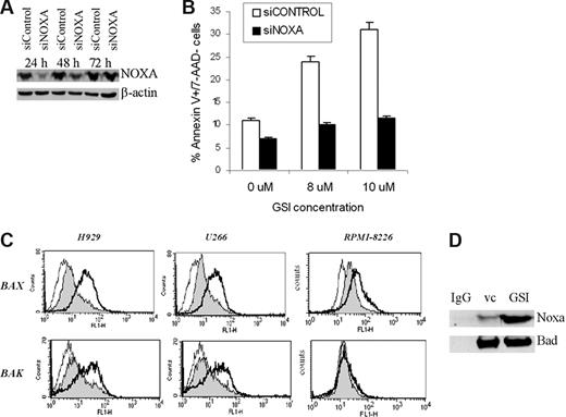 Figure 6. GSI induces apoptosis of MM cells by up-regulation of Noxa. Introduction of Noxa siRNA into MM cells cancels GSI-induced apoptosis. Human 8226 cells were transfected with Noxa siRNA or siCONTROL nontargeting pool siRNA using Amaxa nucleofector device. (A) Cells were incubated for the indicated period of time, and the levels of Noxa were determined by Western blotting. As a loading control, the membrane was reprobed with antibody against β-actin. (B) Transfected cells were treated in triplicate with either vehicle control (DMSO) or the indicated concentrations of GSI. After 12 hours, cells were collected, and apoptosis was measured by annexin V/7-AAD staining using FACSCalibur flow cytometer. Mean plus or minus SD values are shown. The differences were statistically significant for all GSI concentrations (P < .05). (C) Bax and Bak were activated after Noxa up-regulation. MM cells were treated with vehicle control (filled histogram) or GSI (thick line) for 16 hours, then collected and fixed. Staining with antibodies against the conformationally active forms of Bak and Bax was performed as described in “Flow cytometry.” As a control, cells were stained with secondary antibody only (thin line). Cells were analyzed by flow cytometry, and typical histograms from 3 experiments are shown. (D) 8226 MM cells were treated with 7 μM GSI for 24 hours. After that time, cells were collected, lysed, and immunoprecipitated with an antibody against Bad or normal rabbit IgG. The membrane was probed with anti-Noxa and anti-Bad antibody. Three experiments yielded similar results.