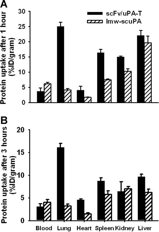 Figure 5. Endothelial targeting of scFv/uPA-T. In vivo biodistribution of scFv/uPA-T versus wild-type lmw-scuPA 1 hour (A) or 3 hours (B) after intravenous injection in mice. The data are shown as the percentage (±SEM) of the injected dose per gram of tissue (%ID/g); n = 3.
