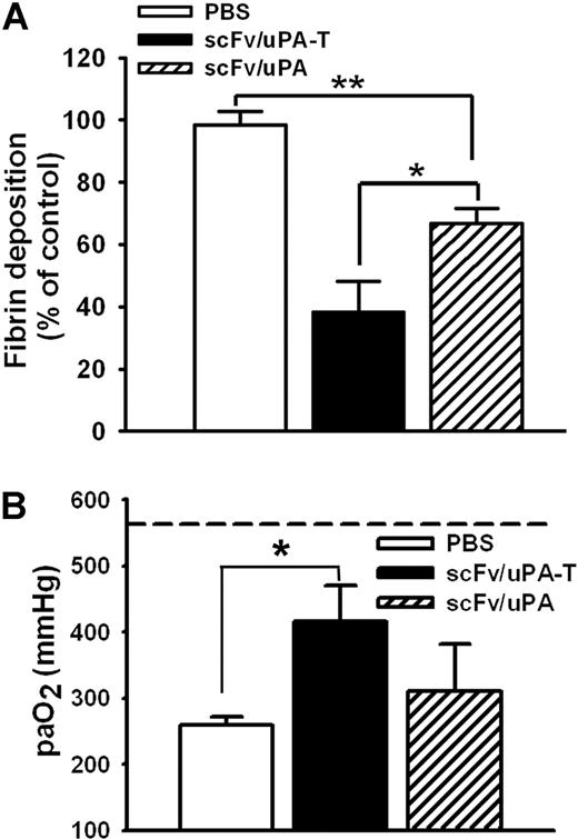 Figure 7. Thrombin-mediated thrombolysis prevents ischemia-reperfusion (I/R)–induced lung injury. (A) Effects of scFv/uPA-T and scFv/uPA on lung fibrin deposition induced by I/R. Thirty minutes before inducing lung I/R, mice were given an intravenous injection of 1.25 nmol scFv/uPA or scFv/uPA-T, or the same volume of PBS. Antifibrin β-chain and anti–β-actin Western blots were performed using lung fibrin extracts and total protein extracts from the same animal, respectively. The amount of fibrin in the lung was measured by densitometric scan and normalized to the amount of β-actin. The bar graph shows quantification of fibrin in each group. Fibrin deposition in PBS-treated animals was designated as 100% (n = 5–6). *P < .05; **P < .01. (B) scFv/uPA-T improves lung gas exchange. Arterial blood oxygen tension in the various cohorts was compared (n = 3–6). The dashed line represents the paO2 in sham-operated animals. *P < .05. Error bars represent SEM.