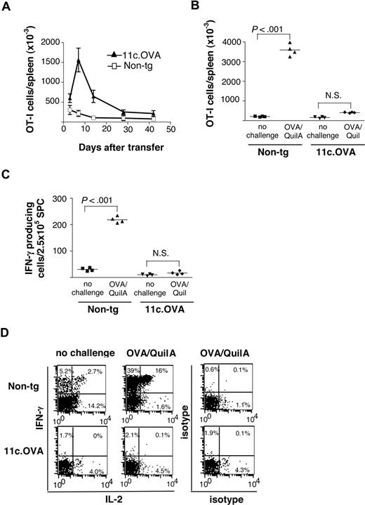 Figure 1. Antigen-expressing DC inactivate long-lived memory CD8+ T cells. FACS-sorted CD45.1+ OT-I memory T cells (CD8+/CD44hi) were transferred to 11c.OVA or nontransgenic (non-tg) mice. (A) The total number of OT-I (CD45.1+/CD8+/Vα2+) T cells in spleens of 11c.OVA (▴) or non-tg (□) recipients was determined at 3, 7, 14, 28, and 42 days after transfer. Data (mean±SD) are pooled from 2 independent experiments of 2 mice per group at each time point. Error bars represent SD. (B,C) Thirty-five days after OT-I transfer, mice were challenged with OVA/QuilA s.c or left unchallenged, and 7 days later (B), the total number of OT-I (CD45.1+/CD8+/Vα2+) T cells in spleens was determined (C) or the frequency of OT-I cells secreting IFN-γ in response to OVA257–264 was determined by ELISpot assay. Data are pooled from 2 independent experiments with 2 mice per group. Horizontal bars represent mean values. (D) Thirty-five days after OT-I transfer, mice were challenged with OVA/QuilA s.c. or left unchallenged, and 7 days later, cytokine production by OT-I (CD45.1+/CD8+) cells was determined using ICS. Data are representative of 2 mice in each of 2 independent experiments. Numbers on plots are the percentages of cells in each quadrant (gated for CD8+, CD45.1+ cells).