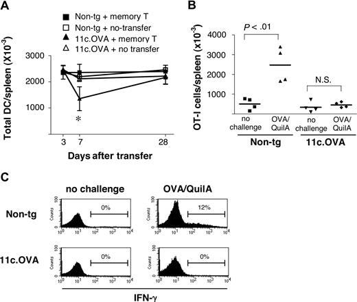 Figure 6. Persistent antigen presentation is required to maintain memory CD8+ T-cell inactivation. CD45.1+ OT-I effector/memory cells were transferred i.v. to 11c.OVA or nontransgenic (non-tg) mice. (A) At 3, 7, and 28 days after transfer, the total number of splenic DC (CD11chi) in 11c.OVA (▴) and non-tg (■) recipients or untransferred 11c.OVA (▵) and non-tg (□) controls was determined. *11C.OVA + effector/memory OT-I is significantly reduced (P < .05) relative to 11c.OVA no transfer. (B,C) CD8+ cells were isolated from 11c.OVA mice 42 days after transfer and retransferred to 11c.OVA or non-tg secondary recipients. After 21 days, secondary recipients were challenged with OVA/QuilA or left unchallenged, and 7 days later, spleens were collected (B) and the total number of OT-I (CD45.1+/CD8+/Vα2+) T cells (C) and IFN-γ production by OT-I (CD45.1+/CD8+) T cells determined. Data (A,B) are pooled (mean±SD, or individual values) from 2 independent experiments with 2 mice per group (C) or representative of 2 individual mice for each group in each of 2 independent experiments. Horizontal bars in panel B represent mean values. Numbers on graphs in panel C are percentages of cells in each gate.
