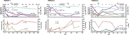Figure 1. Dynamics of DNA methylation, mutant alleles as neoplastic clone markers, and peripheral blood counts. We analyzed methylation of 10 genes at baseline in all 3 patients, and genes with increased baseline methylation were followed during and after the treatment. Patient 1: CMML with JAK2 mutation of 49% alleles before treatment, which decreased to undetectable level after 4 cycles of decitabine. CDH13 methylation was present at initiation of therapy and decreased after decitabine. Patient 2: CMML with NPM1 mutation of 35% alleles before treatment, which decreased to undetectable levels after 4 cycles. PGRB methylation followed the dynamics of LINE1 methylation after decitabine. Patient 3: CMML with JAK2 mutation of 35% alleles before treatment, which decreased to 6% after 2 cycles of decitabine and then increased again. CDH1, CDH13, and NPM2 methylation was present at initiation of therapy and decreased after decitabine. Cycles of decitabine treatment are indicated as purple rectangles above the graphs.