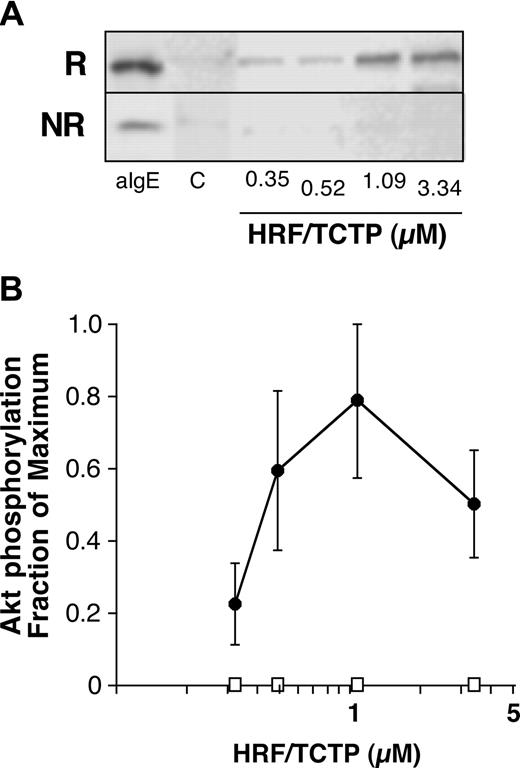 Figure 5. Phosphorylation of Akt by HRF/TCTP. (A) Purified basophils were stimulated with various doses of HRF/TCTP, and cell lysates were prepared and Western blotted for phospho-Akt as described in “Methods.” This panel shows phosphorylation of Akt in basophils from an HRF/TCTP-R donor (top row; R) or an HRF/TCTP-NR donor (bottom row; NR). Cells were stimulated with anti-IgE (aIgE) as a positive control, buffer as a negative control (“C”), or increasing doses of HRF/TCTP. (B) Percentage of maximum of Akt phosphorylation with increasing doses of HRF/TCTP (●) in 3 HRF/TCTP donors. There is no detectable phosphorylation induced by HRF/TCTP in 3 HRF/TCTP-NR donors (□). The standard error is represented by the error bars.